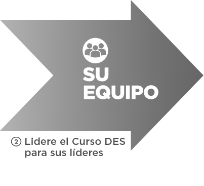 SU EQUIPO 2 Lidere el Curso DES para sus líderes