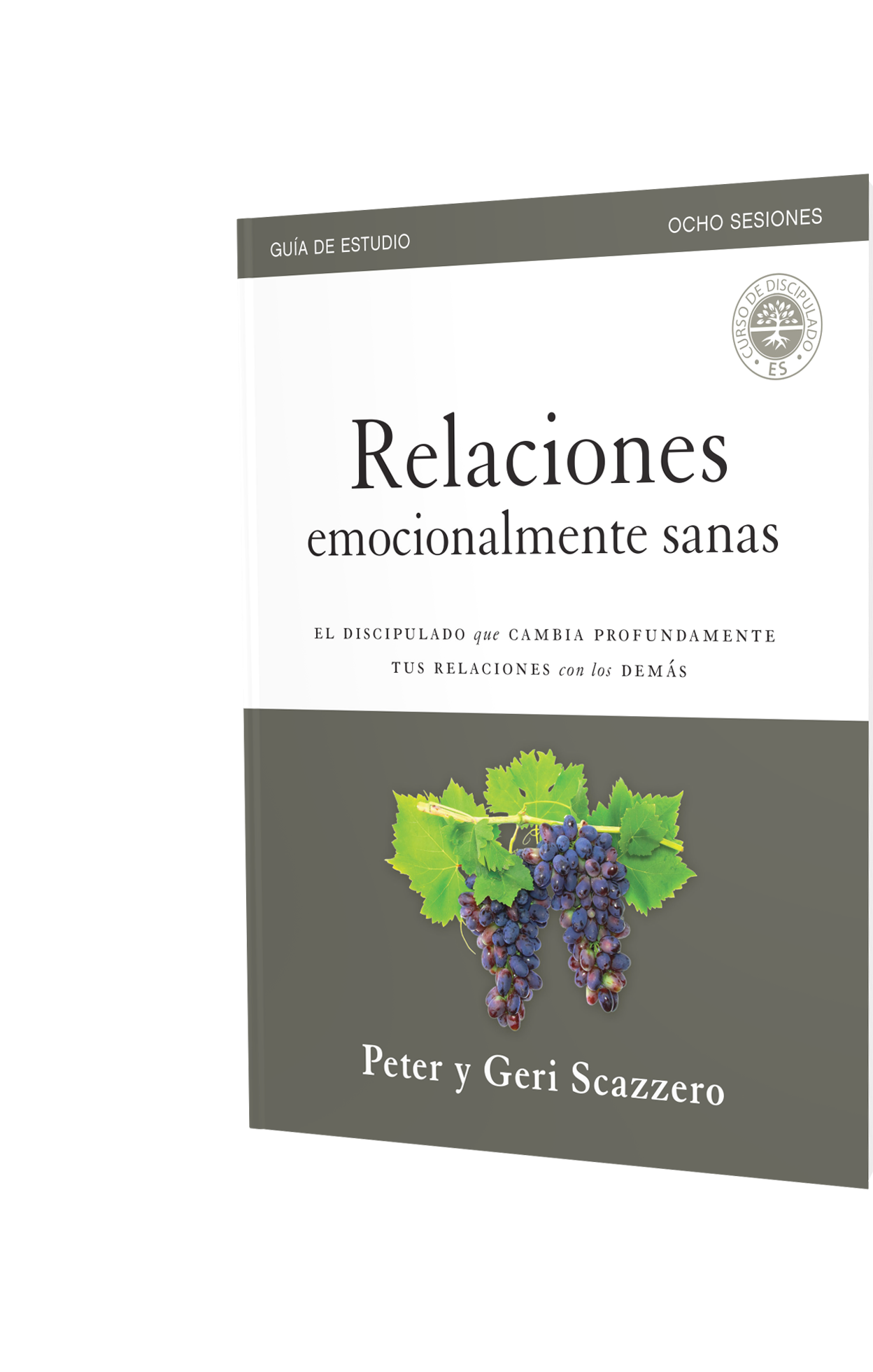 e-Relaciones ES – Guía de Estudio (libro electrónico) Product Image